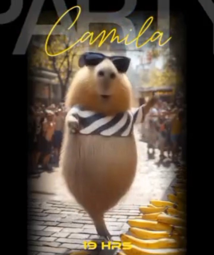 C25 Capibara